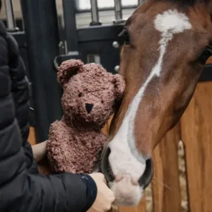 Kentucky - Relax bamse - Brun