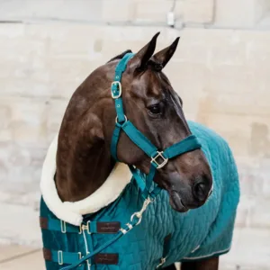 Kentucky - Stævne tæppe