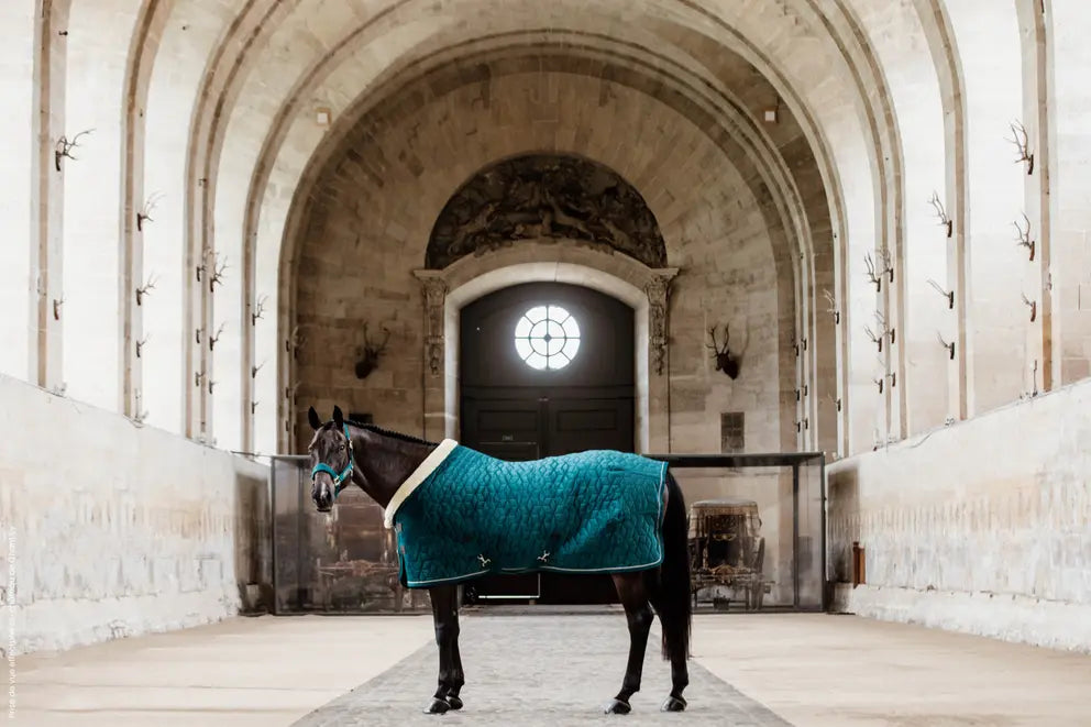 Kentucky - Stævne tæppe