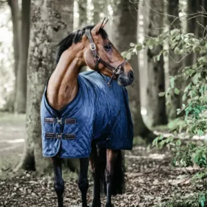 Kentucky - Stalddækken