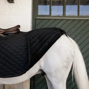 Kentucky -  lændedækken