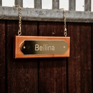 Kentucky - navneskilt guld 220mm - Silver / 220mm