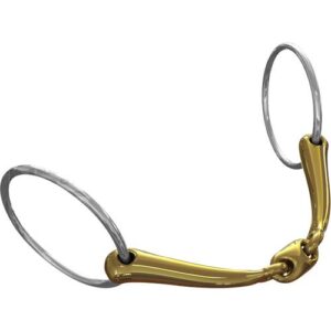 Neue Schule - Bid