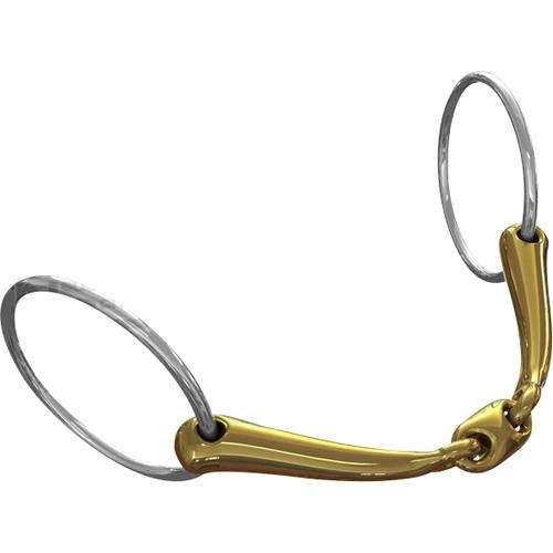 Neue Schule - Bid