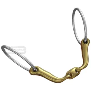 Neue Schule - Bid