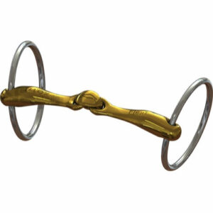 Neue Schule - Turtle Tactio