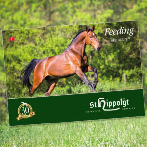 St. Hippolyt hovedkatalog